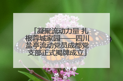 凝聚流动力量 扎根蓉城家园——四川盐亭流动党员成都党支部正式揭牌成立